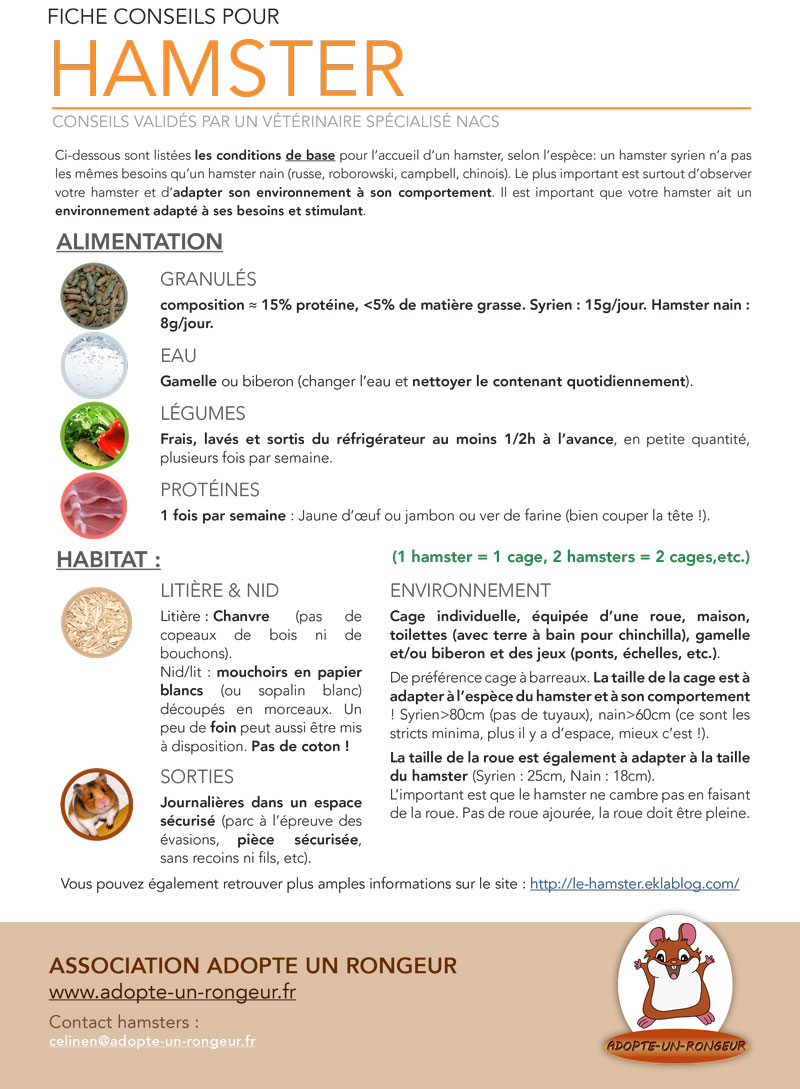 Conseils hamsters ADOPTE UN RONGEUR