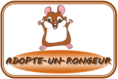 Adopte un Rongeur