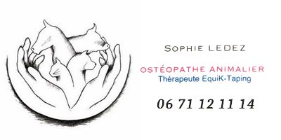 Ostéopathe animalier Sophie Ledez
