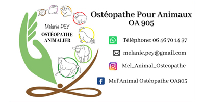 Mel'Animal Ostéopathe