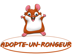 Association Adopte un Rongeur