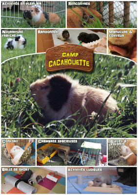 camp_Cacahouette_affiche.jpg
