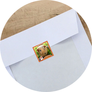 autcollant pour enveloppes