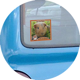 autcollant pour voiture